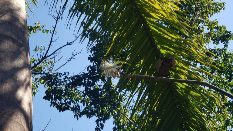 Imagem Terreno em Condomínio à Venda, 1 m² em Parque Dos Resedás - Itupeva Imagem Terreno em Condomínio à Venda, 1 m² em Parque Dos Resedás - Itupeva