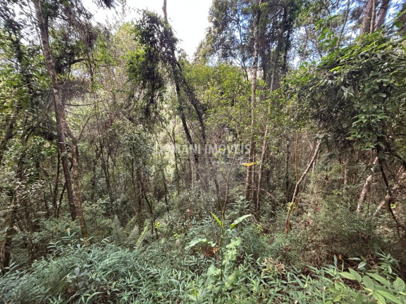 Imagem Terreno à Venda, 5.820 m² em Região Do Parque Da água Santa - Campos Do Jordão