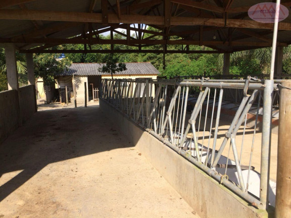 Imagem Imóvel com 4 Quartos à Venda, 87 m² em Pilar Do Sul - Pilar Do Sul