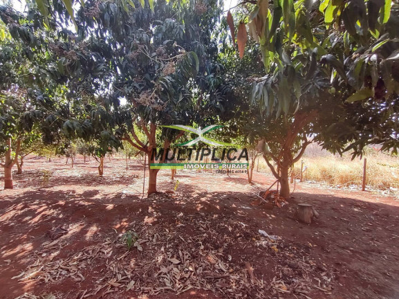 Imagem Chácara à Venda, 2 m² em Centro - Uberlândia Imagem Chácara à Venda, 2 m² em Centro - Uberlândia