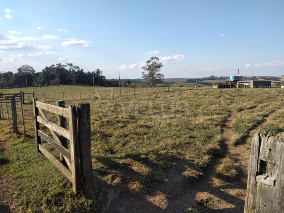 Imóvel à Venda, 242.000 m² em Santa Cruz Dos Matos - Itapetininga