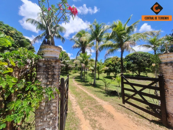 Imagem Imóvel com 2 Quartos à Venda, 466 m² em Jorrinho - Camaçari Imagem Imóvel com 2 Quartos à Venda, 466 m² em Jorrinho - Camaçari