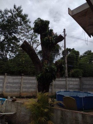 Imagem Imóvel com 2 Quartos para Alugar, 25 m² em Campo Grande - Rio De Janeiro