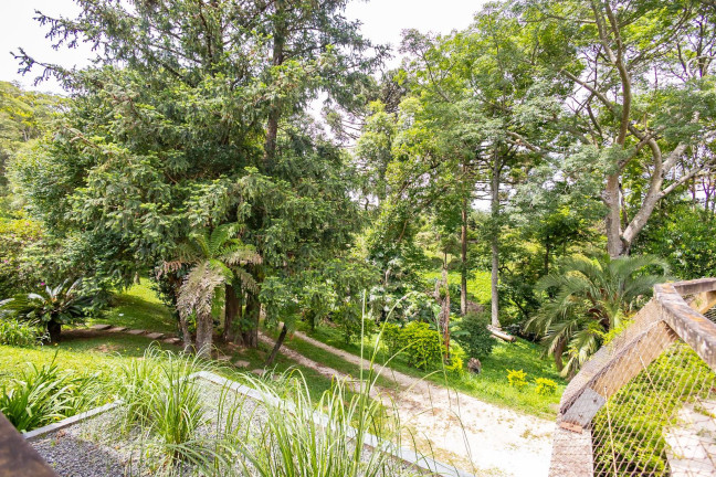 Imagem Imóvel com 10 Quartos à Venda, 27.168 m² em Lamenha Grande - Almirante Tamandaré Imagem Imóvel com 10 Quartos à Venda, 27.168 m² em Lamenha Grande - Almirante Tamandaré