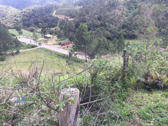 Imagem Terreno à Venda, 152.000 m² em Centro - Anitápolis