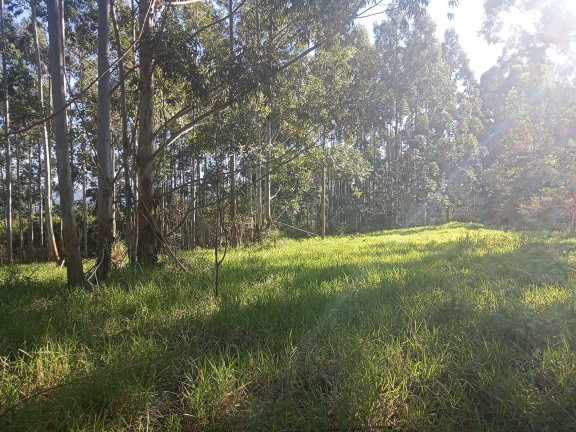Chácara à Venda, 29.000 m² em Pimenta - Viamão