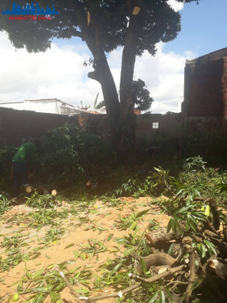 Imagem Chácara à Venda, 4 m² em Guajirú - São Gonçalo Do Amarante Imagem Chácara à Venda, 4 m² em Guajirú - São Gonçalo Do Amarante