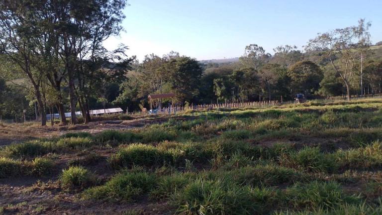 Imagem Fazenda à Venda, 6.690 m² em Vertentes Do Mamonal - Pirassununga Imagem Fazenda à Venda, 6.690 m² em Vertentes Do Mamonal - Pirassununga