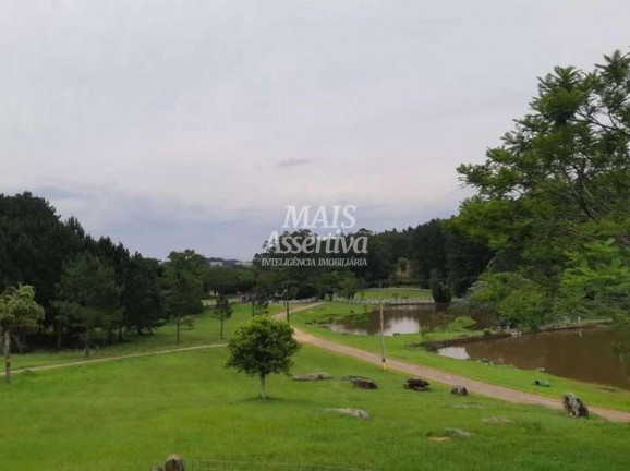 Imagem Terreno à Venda, 1 m² em Lomba Grande - Novo Hamburgo Imagem Terreno à Venda, 1 m² em Lomba Grande - Novo Hamburgo