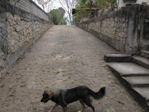 Imagem Imóvel à Venda, 2.000 m² em Campo Grande - Rio De Janeiro