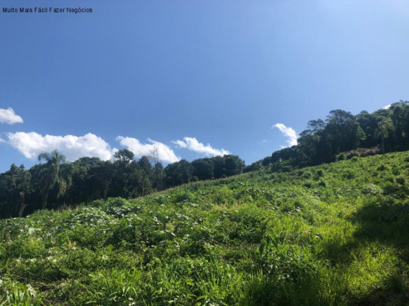 Imagem Terreno à Venda, 3 m² em Linha Olinda - Nova Petrópolis Imagem Terreno à Venda, 3 m² em Linha Olinda - Nova Petrópolis