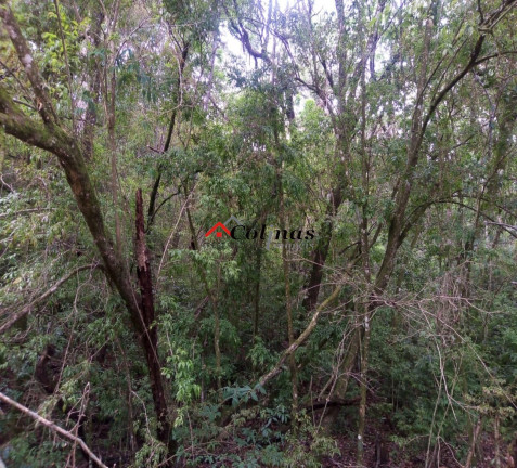 Imagem Terreno à Venda, em Depois Do Centro - Ibiúna Imagem Terreno à Venda, em Depois Do Centro - Ibiúna