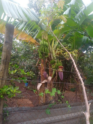 Imagem Terreno à Venda, 360 m² em Vele Do Sol - São Joaquim De Bicas Imagem Terreno à Venda, 360 m² em Vele Do Sol - São Joaquim De Bicas