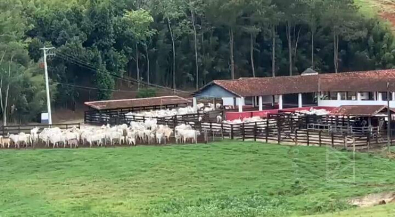Imagem Fazenda à Venda, 259 m² em Centro - Lorena Imagem Fazenda à Venda, 259 m² em Centro - Lorena