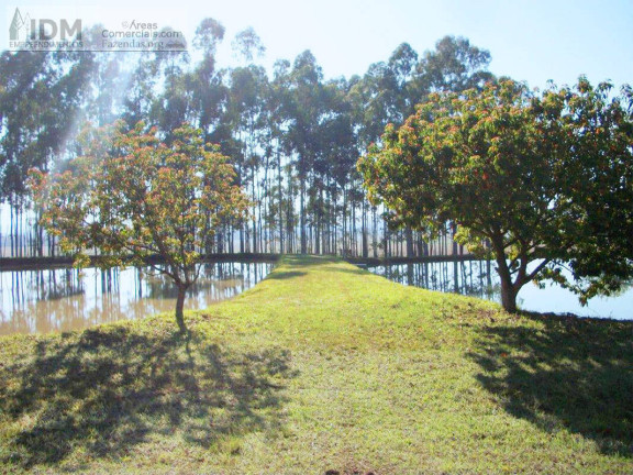 Imagem Chácara à Venda, 2.980.000 m² em Centro - Santana Do Itararé