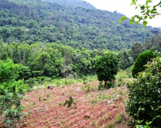 Imagem Imóvel à Venda, em Vila Germânia - Nova Petrópolis Imagem Imóvel à Venda, em Vila Germânia - Nova Petrópolis