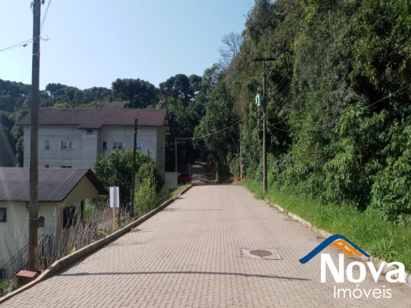 Imagem Imóvel à Venda, 360 m² em Logradouro - Nova Petrópolis