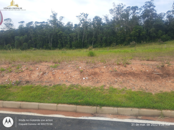 Imagem Terreno à Venda, 360 m² em Primeira Linha - Criciúma Imagem Terreno à Venda, 360 m² em Primeira Linha - Criciúma