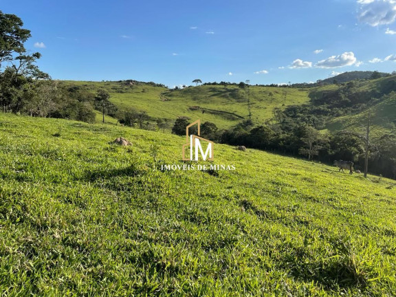 Imóvel com 4 Quartos à Venda, 500.000 m² em Zona Rural - Crucilândia