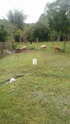 Imagem Imóvel à Venda, 1.500.000 m² em Campestre Do Menino Deus - Santa Maria Imagem Imóvel à Venda, 1.500.000 m² em Campestre Do Menino Deus - Santa Maria