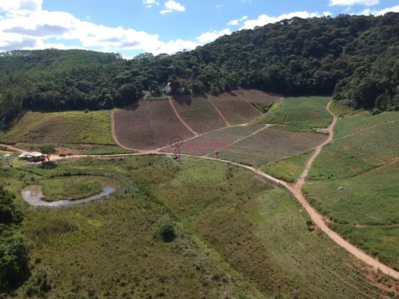 Imagem Imóvel à Venda, 558.000 m² em Pedra Azul - Domingos Martins Imagem Imóvel à Venda, 558.000 m² em Pedra Azul - Domingos Martins