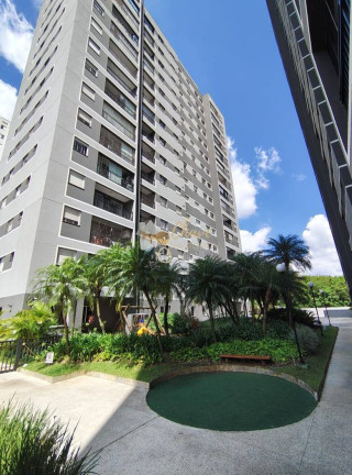 Imagem Apartamento com 2 Quartos à Venda, 49 m² em Parque Reboucas - São Paulo Imagem Apartamento com 2 Quartos à Venda, 49 m² em Parque Reboucas - São Paulo