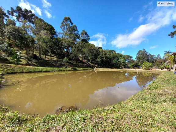 Imagem Imóvel à Venda, 8.000 m² em Zona Rural - Quatro Barras Imagem Imóvel à Venda, 8.000 m² em Zona Rural - Quatro Barras