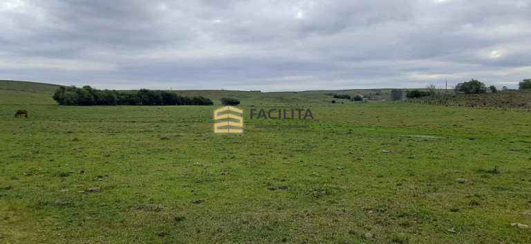 Imagem Imóvel com 2 Quartos à Venda, 420.000 m² em Vacacaí - São Gabriel Imagem Imóvel com 2 Quartos à Venda, 420.000 m² em Vacacaí - São Gabriel