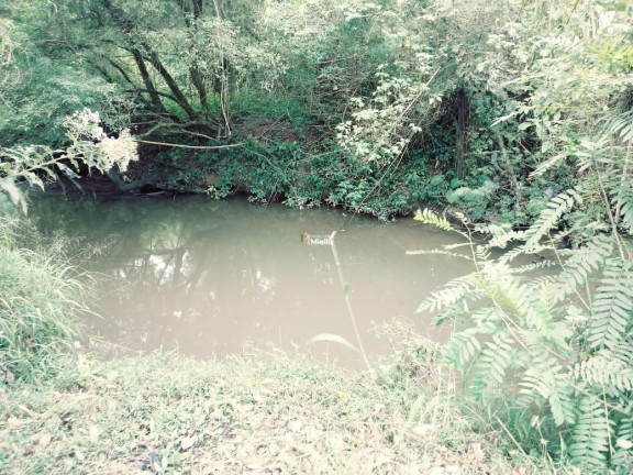 Imagem Imóvel à Venda, 20 m² em Sitio São José - Viamão Imagem Imóvel à Venda, 20 m² em Sitio São José - Viamão