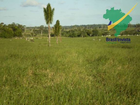 Imagem Fazenda à Venda, 12 m² em Centro - Buerarema Imagem Fazenda à Venda, 12 m² em Centro - Buerarema