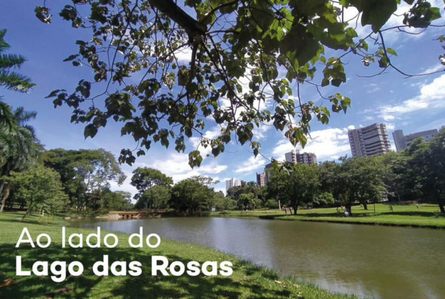Imagem Apartamento com 3 Quartos à Venda, 87 m² em Setor Coimbra - Goiânia Imagem Apartamento com 3 Quartos à Venda, 87 m² em Setor Coimbra - Goiânia