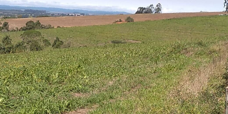 Imagem Fazenda à Venda, 56 m² em Zona De Pecuária - Pilar Do Sul Imagem Fazenda à Venda, 56 m² em Zona De Pecuária - Pilar Do Sul