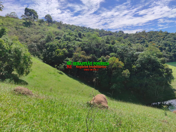 Imagem Chácara à Venda, 20.000 m² em Centro - Paraibuna