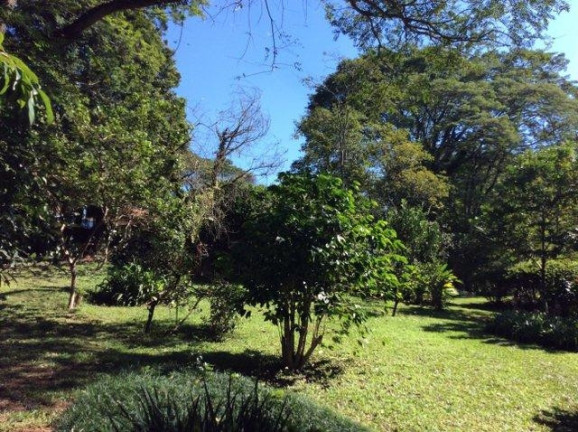 Imagem Casa com 3 Quartos à Venda, 400 m² em Parque Silvino Pereira - Cotia