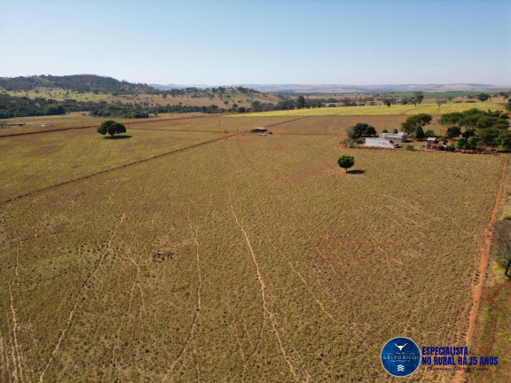 Imagem Chácara à Venda, 3 m² em Zona Rural - Avelinópolis Imagem Chácara à Venda, 3 m² em Zona Rural - Avelinópolis
