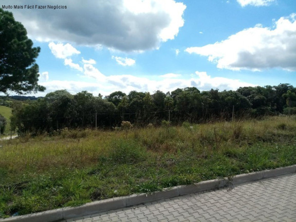 Terreno à Venda, 375 m² em Linha Imperial - Nova Petrópolis