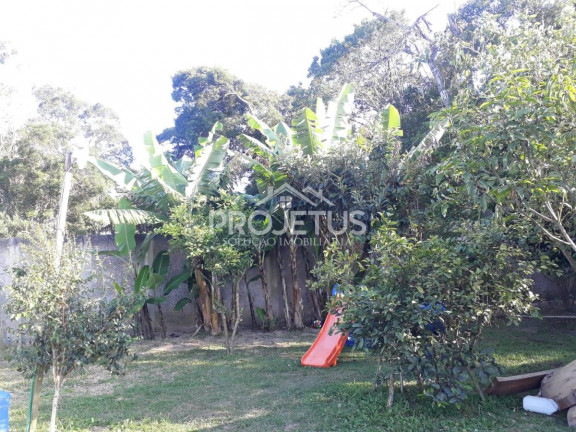 Imagem Chácara com 3 Quartos à Venda, 1.200 m² em Caputera - Cotia