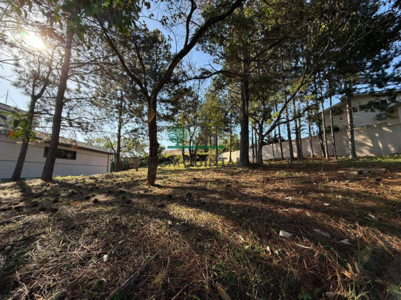 Imagem Terreno à Venda, 1 m² em Parque Rincão - Cotia Imagem Terreno à Venda, 1 m² em Parque Rincão - Cotia