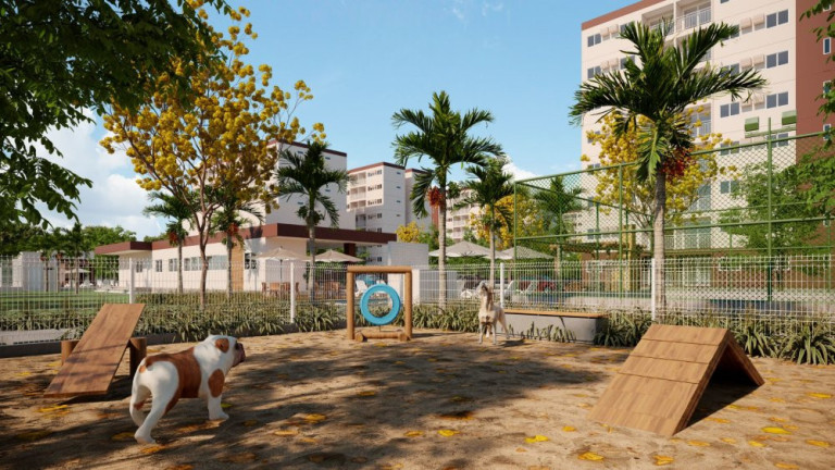 Imagem Apartamento com 2 Quartos à Venda, 53 m² em Várzea - Recife Imagem Apartamento com 2 Quartos à Venda, 53 m² em Várzea - Recife
