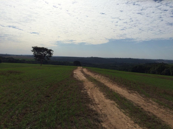Imagem Imóvel à Venda, em área Rural De Itapetininga - Itapetininga Imagem Imóvel à Venda, em área Rural De Itapetininga - Itapetininga