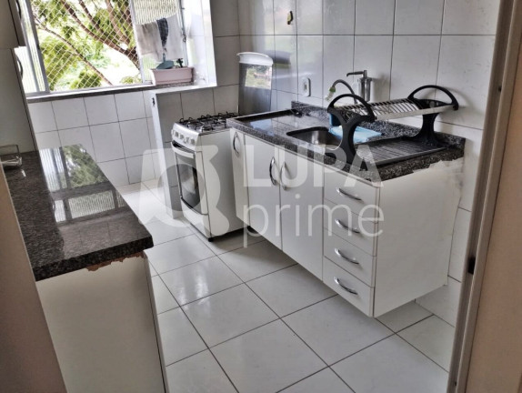Imagem Apartamento com 3 Quartos à Venda, 67 m² em Vila Constança - São Paulo Imagem Apartamento com 3 Quartos à Venda, 67 m² em Vila Constança - São Paulo