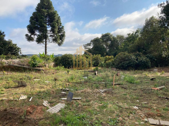 Imagem Terreno à Venda, 2.080 m² em Vila Santa Terezinha - Loteamento Vila Santo Onofre - Campo Largo Imagem Terreno à Venda, 2.080 m² em Vila Santa Terezinha - Loteamento Vila Santo Onofre - Campo Largo