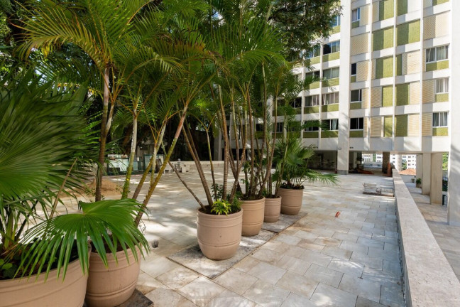 Imagem Apartamento com 3 Quartos à Venda, 137 m² em Vila Mariana - São Paulo Imagem Apartamento com 3 Quartos à Venda, 137 m² em Vila Mariana - São Paulo