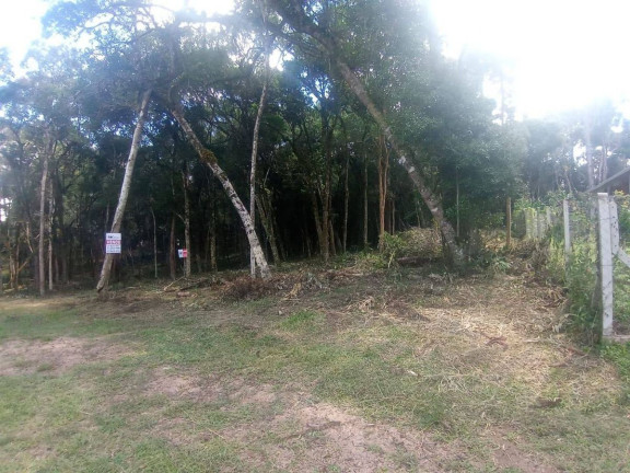Imagem Terreno à Venda, em Planta Granjas Eldorado - Piraquara Imagem Terreno à Venda, em Planta Granjas Eldorado - Piraquara
