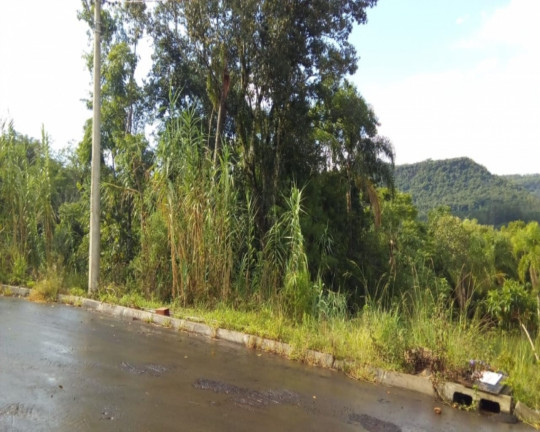 Imagem Imóvel à Venda, 455 m² em Centro - Picada Café