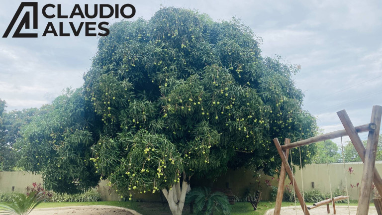 Imagem Terreno à Venda, 33 m² em Maria Quitéria (são José) - Feira De Santana Imagem Terreno à Venda, 33 m² em Maria Quitéria (são José) - Feira De Santana