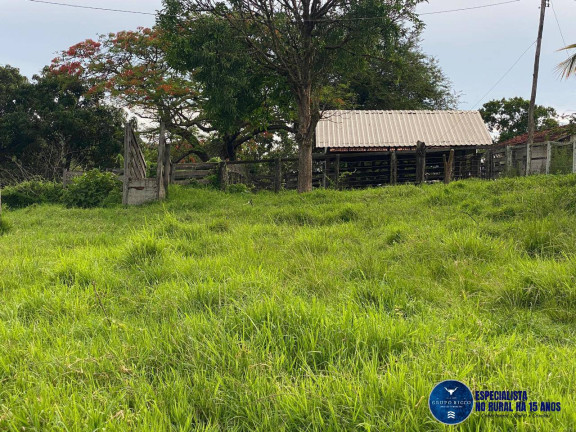 Imagem Chácara à Venda, 12 m² em Zona Rural - Campestre De Goiás Imagem Chácara à Venda, 12 m² em Zona Rural - Campestre De Goiás