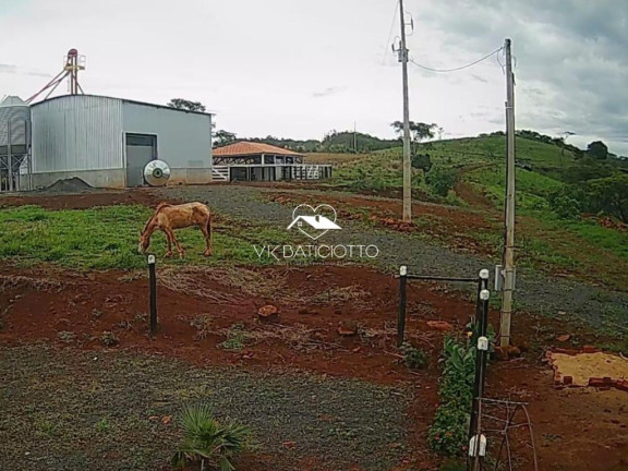 Imagem Chácara à Venda, 9 m² em Mandaguari Imagem Chácara à Venda, 9 m² em Mandaguari