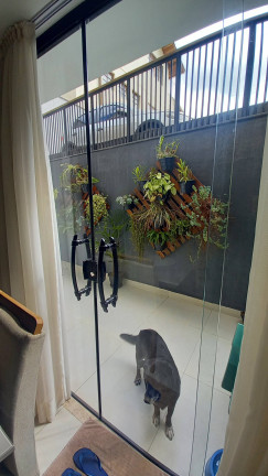 Imagem Apartamento com 2 Quartos à Venda,  em Conego - Nova Friburgo