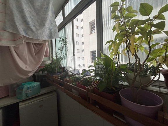 Imagem Apartamento com 3 Quartos à Venda, 109 m² em Perdizes - São Paulo Imagem Apartamento com 3 Quartos à Venda, 109 m² em Perdizes - São Paulo